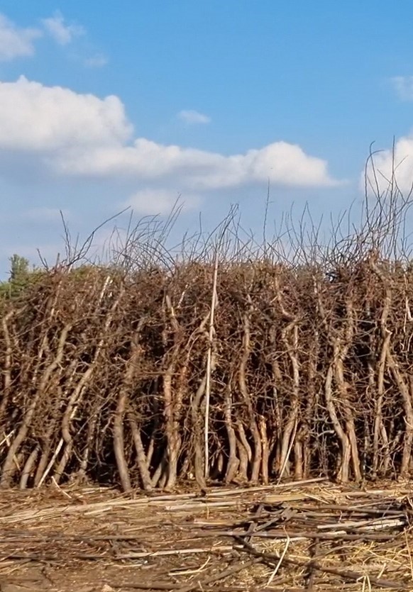 2023 10 13 16.45.09 (2) 2023 10 13 16.45.09 (2)