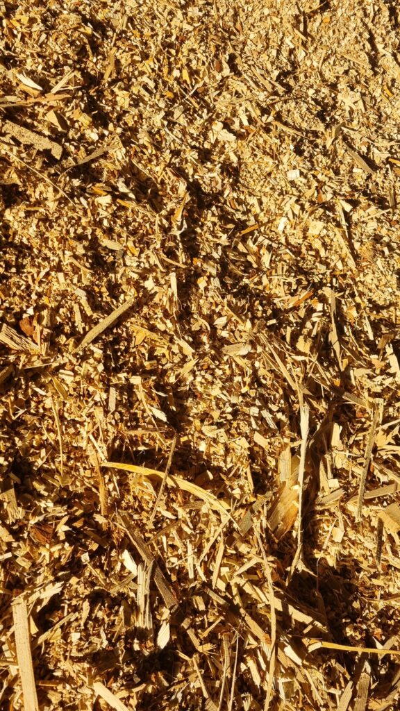 2024 11 19 13.36.42 2024 11 19 13.36.42