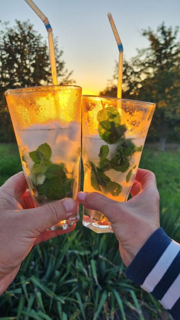 photo 2025 08 25 11 50 02 photo 2025 08 25 11 50 02